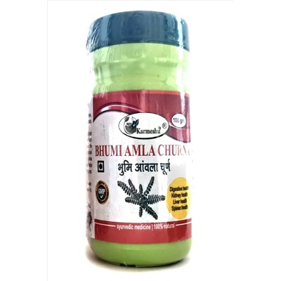 BHUMI AMLA CHURNA, Karmeshu (БХУМИ АМЛА ЧУРНА, Кармешу), 100 г.