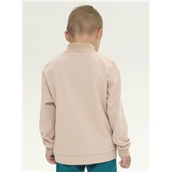 BFNS3295/1U (Толстовка для мальчика, Pelican Outlet )