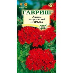 Цв.Лихнис Зорька (Гавриш) 0,1г