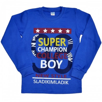 Толстовка детская "Super champion boy" (blue)