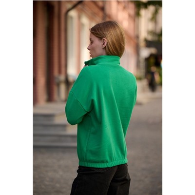 толстовка 3527-10