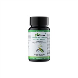 THE GARCINIA CAMBOGIA 60% HCA SOFT GEL Capsule, Alantra (Аюрведические капсулы ГАРЦИНИЯ КАМБОДЖИЙСКАЯ 60% HCA, Алантра), 60 капс.