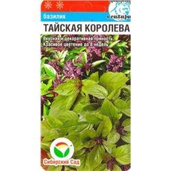 Базилик Тайская Королева (Код: 85047)