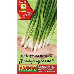 Лук  на зелень Молодо-зелено (Аэлита)