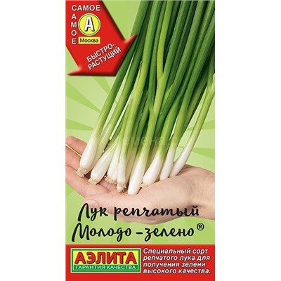 Лук  на зелень Молодо-зелено (Аэлита)