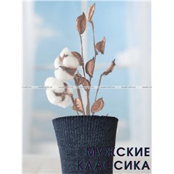 Легион носки мужские тёмно-серые