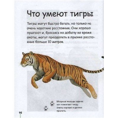 Прогулка по зоопарку. Джонсон Джинни