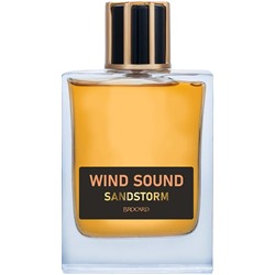 WIND SOUND SANDSTORM (Звук Ветра. Песчаная Буря)/муж. M~