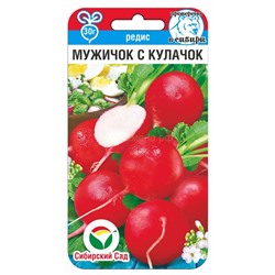Редис Мужичок с кулачок (Сиб сад)