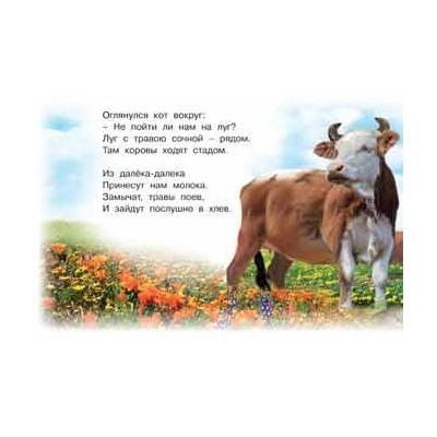 Кн. Знакомимся с животными.  Домашние животные 16 цветн.стр. 21,3*14,2см  27667