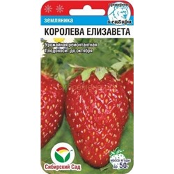 Земляника  Королева Елизавета (Сиб сад)