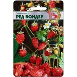 Земляника Ред Вондер (Био) 60шт