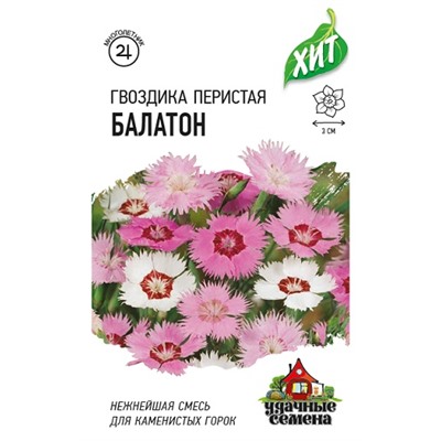 Гвоздика Перистая Балатон УС (Код: 68285)
