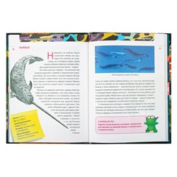 Книга "Энциклопедия", картон, бумага, 96 стр., 16,5х22см, 4 дизайна