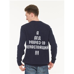 Джемпер мужской 5222-12321