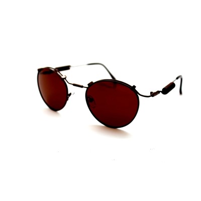 Поляризационные солнце  2023 - Polarized 166 коричневый