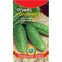 Огурец Голубчик F1 (Плазма) 10шт