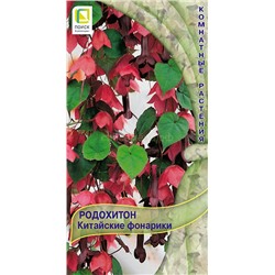 Родохитон Китайские фонарики (комн) (П)