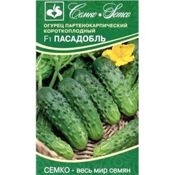 Огурец Пасадобль (С)