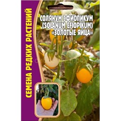 Солянум эфиопикум Золотые яйца (Редкие)