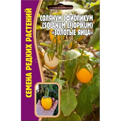 Солянум эфиопикум Золотые яйца (Редкие)