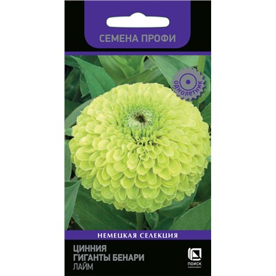 Цинния Гиганты Бенари Лайм (Код: 86367)