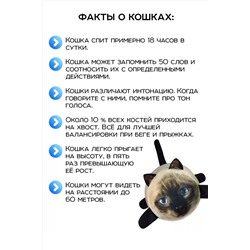 Игрушка-антистресс Кот Барсик