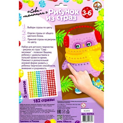 Рисунок из страз «Сова-меломан»