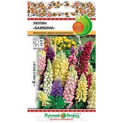 Цв.Люпин Бамбини смесь (НК) 6шт