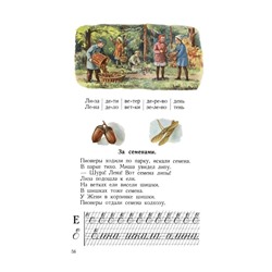 Букварь цветной, увеличенного формата. Редозубов С.П. 1955