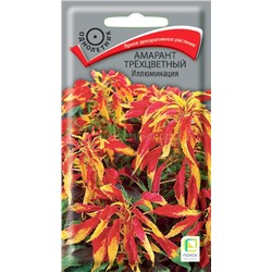 Амарант Иллюминация трехцветный (одн) (П)