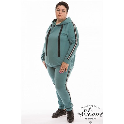 Костюм (толстовка+брюки) 32064е