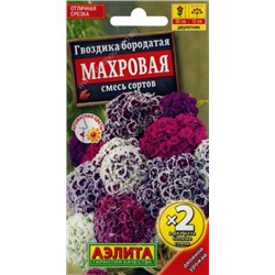Цв.Гвоздика Бородатая Махровая смесь сортов Турецкая (Аэлита) *2  0,2г