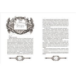 Техноведьма. Мастер дверей