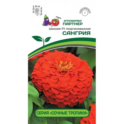 Цв.Цинния Сангрия F1 (Партнер) 4шт