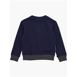 Джемпер (кардиган) UD 2151 цветной