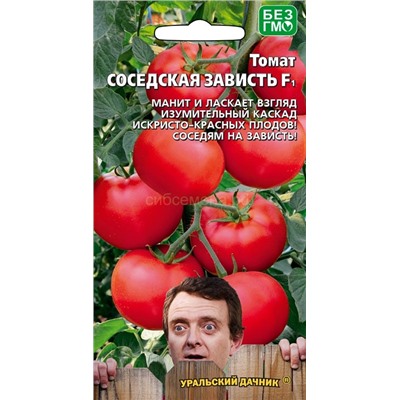 Томат Соседская зависть F1 (УД)