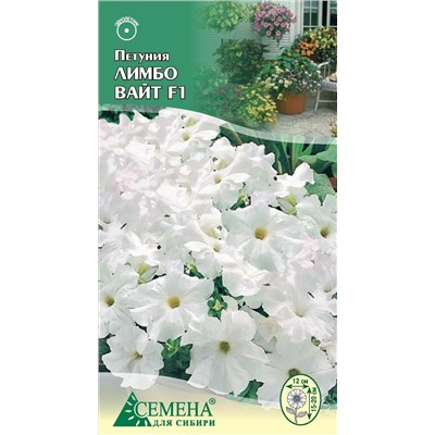 Петуния Лимбо Джи Пи Вайт F1, 10сем (цв.)