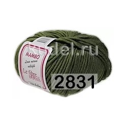 Пряжа Сеам Mambo