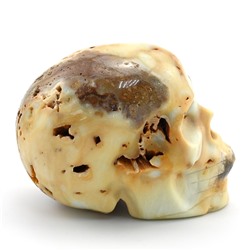Череп из амазонита 95*65*70мм, 566г
