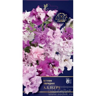 Цв.Петуния Аллегра F1 крупн., махр. (Седек) 5шт