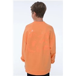 Свитшот PELICAN #835848