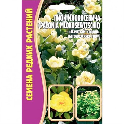 Пион Млокосевича (Редкие)