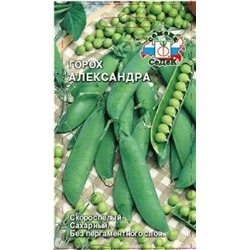 Горох Александра (СеДеК) 5гр