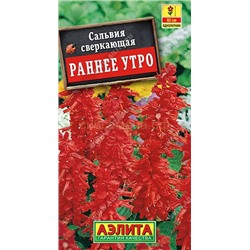 Сальвия Раннее утро (Аэлита)