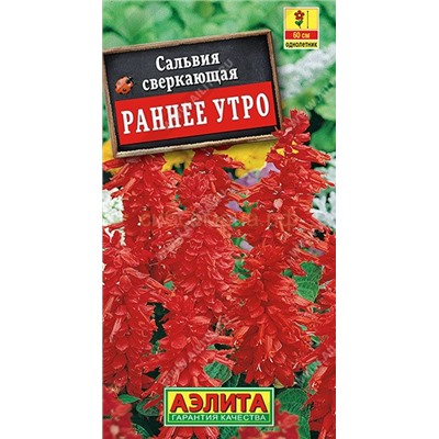 Сальвия Раннее утро (Аэлита)