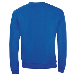 Толстовка SPIDER 260, ярко-синяя