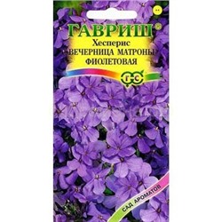 Хесперис Вечерница Матроны фиолетовая (Гавр)