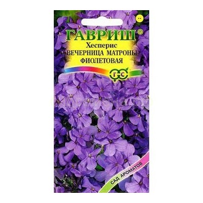 Хесперис Вечерница Матроны фиолетовая (Гавр)