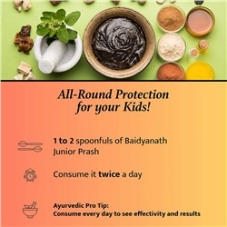 Baidyanath JUNIOR PRASH, For The Allrounders, HERBAL JAM, For Export (Чаванпраш ДЖУНИОР ПРАШ, Травяной джем, ДЛЯ ВСЕХ ВОЗРАСТОВ (ЭКСПОРТНОЕ КАЧЕСТВО), Бадьянатх), 500 г.